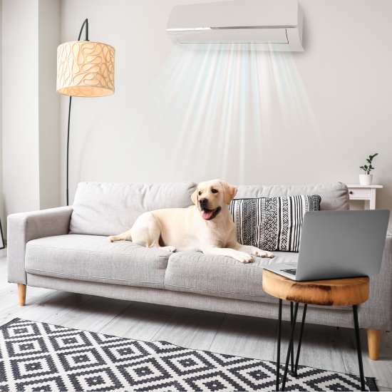partner-airco-service-bied-aan-kwaliteit-comfort-klimaat-temperatuur
